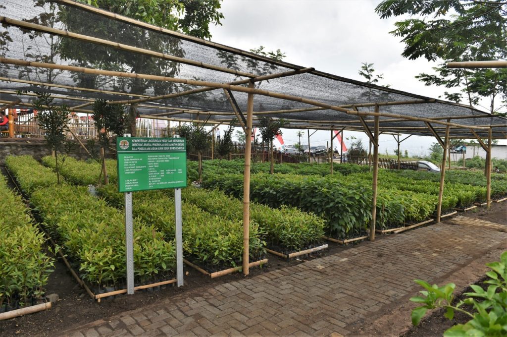 Foto Lainnya Pulihkan Lahan, Menteri LHK Pimpin Puncak Acara GNPDAS 2019